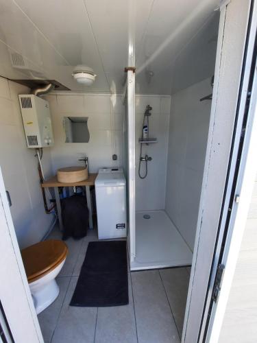 une petite salle de bain avec toilettes et douche dans l'établissement Chalet de Certe, à Audenge