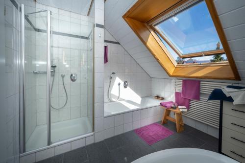 baño con ducha y aseo y ventana en Ferienwohnung Lea, en Öhningen