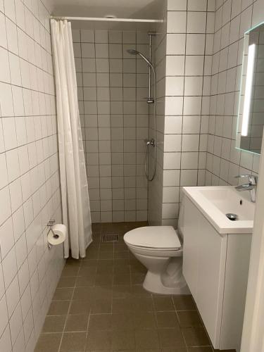 a bathroom with a toilet and a sink and a shower at Næstvedgade in Copenhagen