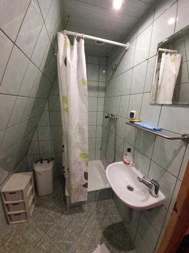 a bathroom with a sink and a shower at Agroturystyka "U Sochy" in Ramleje
