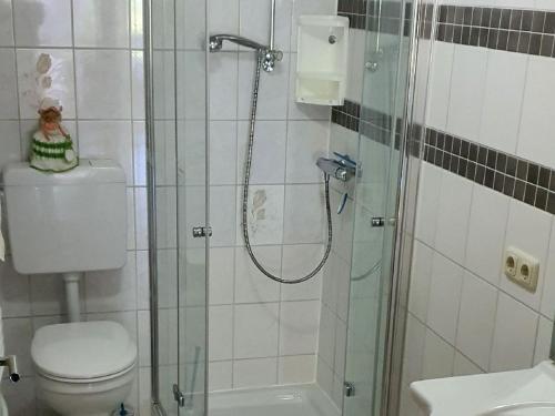 een badkamer met een douche, een toilet en een wastafel bij Ferienwohnung Treyer in Oppenau