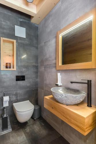 a bathroom with a sink and a toilet at Hiša Križaj in Bohinj