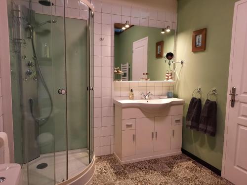 a bathroom with a shower and a sink and a mirror at Gite Florence near Saint Chinian Private Pool & River Garden in Pierrerue
