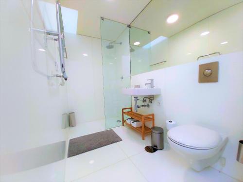 Architect Arts Elegant Villa BF