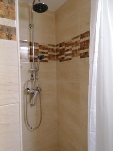 a shower with a shower head in a bathroom at Csillag Vendégház in Répáshuta