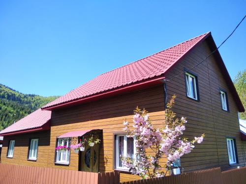 a large house with a red roof at Відпочинок у Карпатах, мінеральні ванни, банний Чан! in Verkhniy Bystryy