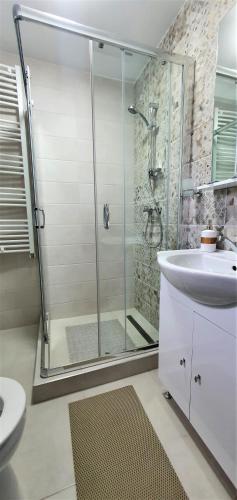 a bathroom with a shower and a toilet and a sink at Bukovina Blue in Mănăstirea Humorului