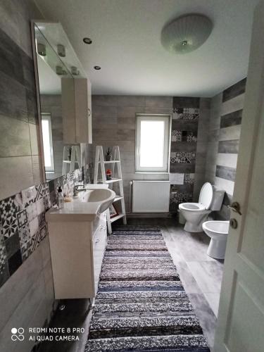 a bathroom with a sink and a toilet at Casa Lucia in Dămuc