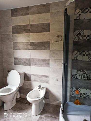 a bathroom with a toilet and a shower at Casa Lucia in Dămuc