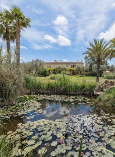 a pond with lily pads in a park with palm trees at Hotel Sa Franquesa Nova in Vilafranca de Bonany