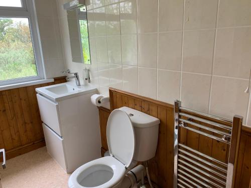 a bathroom with a toilet and a sink at Longstone farm in Helston