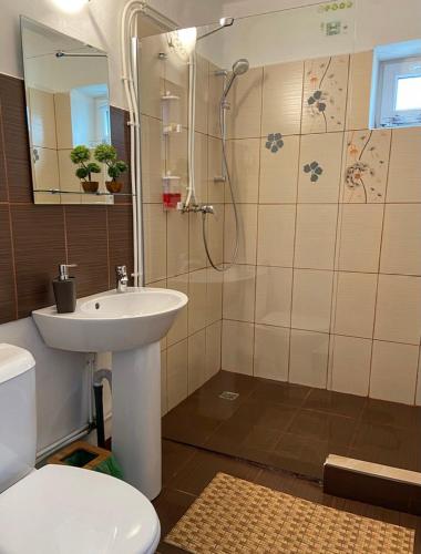a bathroom with a sink and a shower and a toilet at Hățăgel Country House in Hăţăgel
