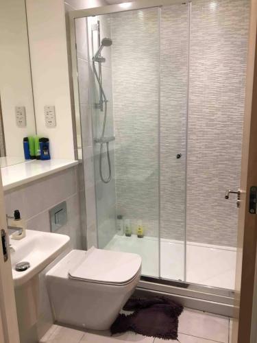 a bathroom with a shower and a toilet and a sink at Ashs Apartments in Southampton
