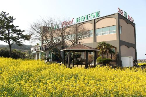a building with a field of yellow flowers in front of it at Jeju Feel House in Jeju