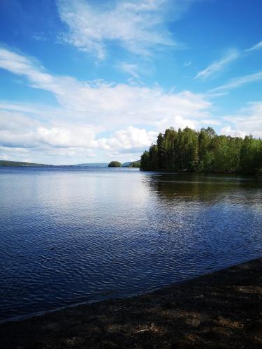 a large body of water with trees on the shore at Åredalens fjällgård in Järpen