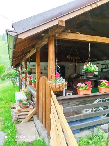 a building with potted plants and flowers on it at Casa Lucia in Dămuc