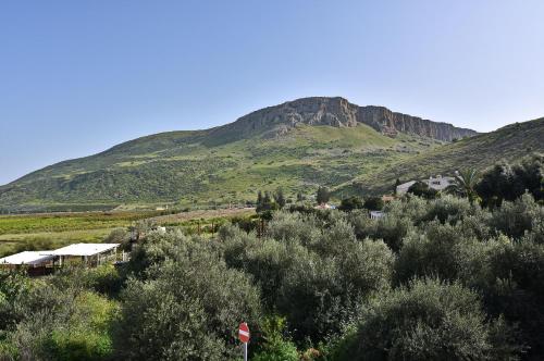 a mountain in the distance with trees and bushes at וילה גאיה בכנרת-VIILA GAYA in Migdal