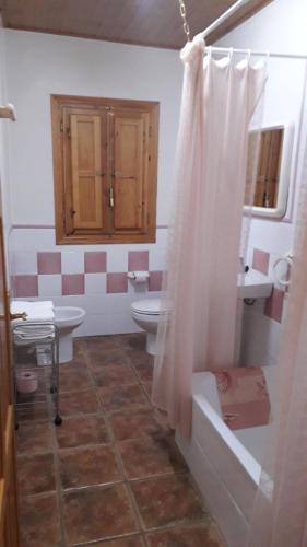 W łazience znajduje się toaleta, umywalka i prysznic. w obiekcie Arroyo Colladillos y Caprichosa w mieście Cotillas