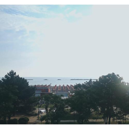 a view of a city with trees and the ocean at Hotel Flora in Cesenatico