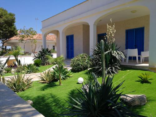 un jardin en face d'une maison ornée de plantes dans l'établissement La sirenetta bellicosa, à Torre Suda