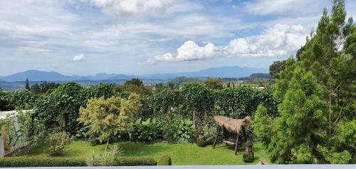 Fotografija v galeriji nastanitve Villa Jidah v mestu Gegarbensang