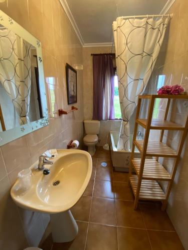 a bathroom with a sink and a toilet at Hospedaje Oreña in Oreña