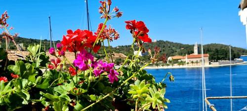 a bush with flowers next to a body of water at Bed & Breakfast Dionis Vis in Vis