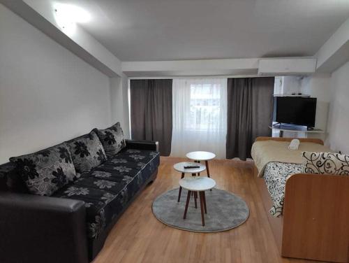 een woonkamer met een bank en een bed bij Apartment Stefan in Ohrid