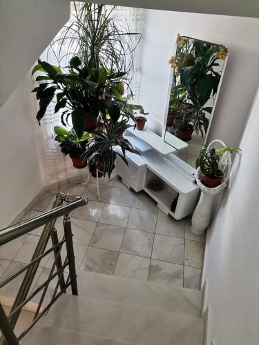 a stairway with potted plants and a mirror at Guest House Konomaevi in Sozopol