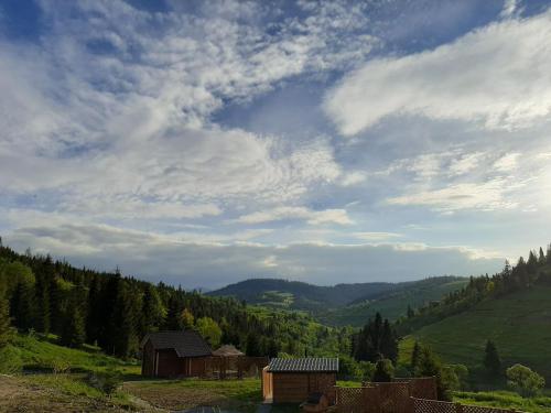 a view of a hillside with a barn and trees at Над фермою in Nizhne-Studënyy