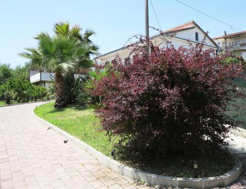 Zahrada ubytování il Riccio B&B