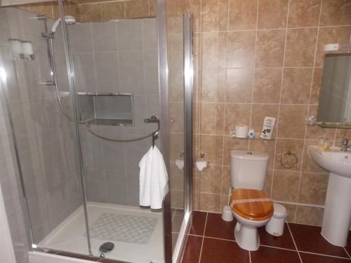 a bathroom with a shower with a toilet and a sink at Easton Court Guest House in Paignton