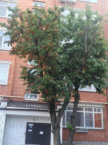 Edificio en el que se encuentra el apartamento