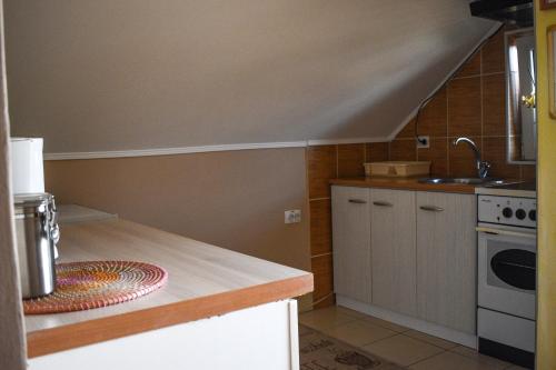 a kitchen with a sink and a counter top at Golden BIS, Subotica in Subotica