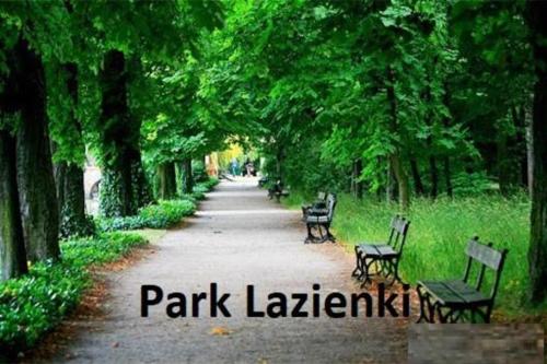 a park with benches and trees on a path at Vicky - New Apartment Centrum Srodmiescie in Warsaw