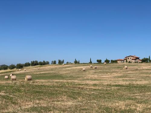a field with lots of hay bales at Il Poggio di Musignano in Musignano