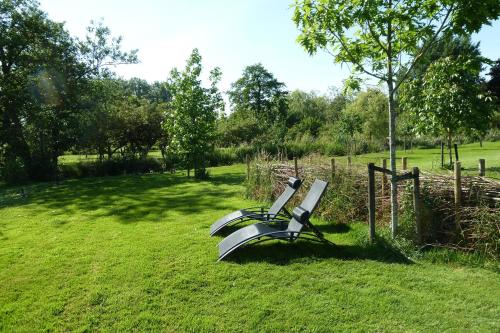 a bench sitting in the grass in a field at Bed&Breakfast Hoornaar in Hoornaar