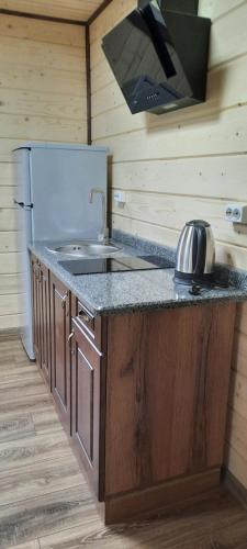 a kitchen with a counter with a sink and a stove at Оберіг in Sheshory