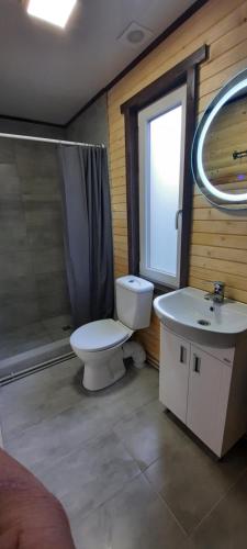 ein Bad mit einem WC, einem Waschbecken und einer Dusche in der Unterkunft Оберіг in Scheschory