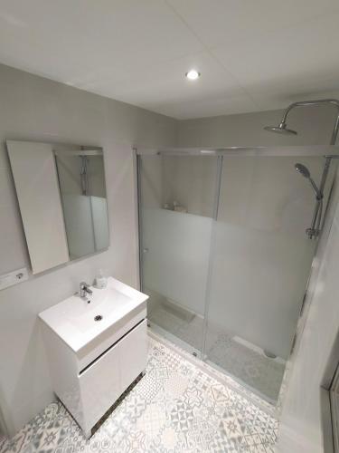 a bathroom with a shower and a white sink at La Quadra de Quelo 1 in Àger