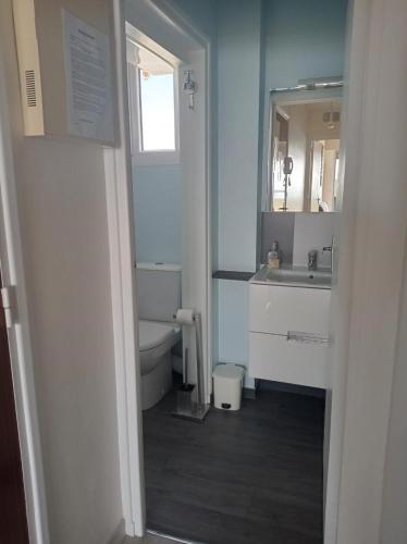 une salle de bain avec toilettes, lavabo et miroir dans l'établissement Le Grand Large, à Berck-sur-Mer