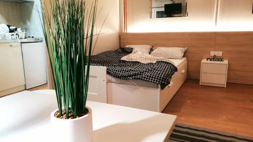 a small room with a bed and a potted plant at Cosy Novi Sad loft, self check-in in Petrovaradin