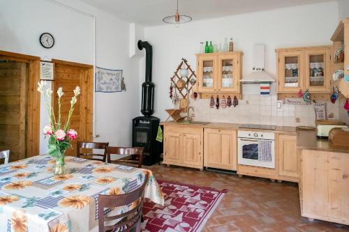 Kuchnia lub aneks kuchenny w obiekcie Villa Rihuini Eco Wine house Transylvania