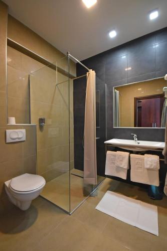a bathroom with a shower and a toilet and a sink at Hotel Vienna in Herceg-Novi