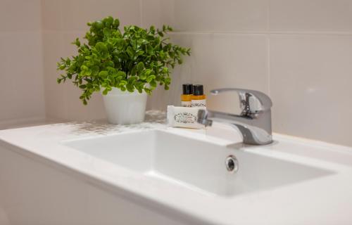 ラゴスにあるOlive Tree Street 2 Bed Flatの洗面台(鉢植えの植物付)
