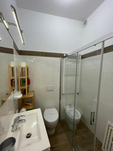 a bathroom with a sink and a toilet and a shower at B&B Amores in Sulmona