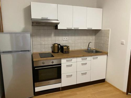 Kuchyňa alebo kuchynka v ubytovaní Černý Tulipán - Apartmán 1