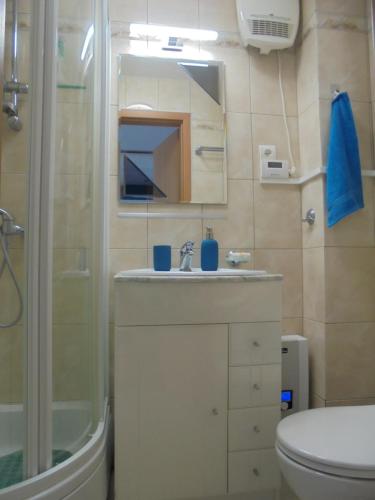 a bathroom with a sink and a shower and a toilet at Apartament dwupokojowy 150 m do morza in Jarosławiec