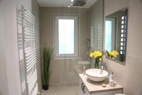 een badkamer met een wastafel en een spiegel bij Brasov Studio in Braşov