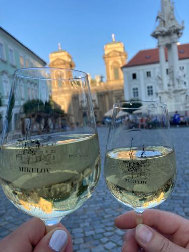 a person holding a glass of white wine at Penzion Moravia - free parking in the city center in Mikulov